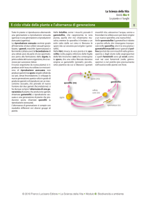Il ciclo vitale delle piante e l`alternanza di generazione