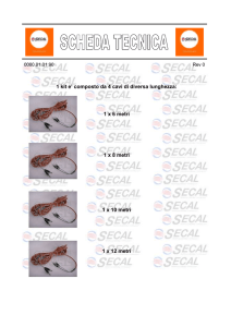 1 kit e` composto da 4 cavi di diversa lunghezza: 1 x 6