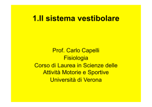 6.Sistema vestibolare