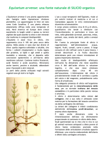 Silicio organico