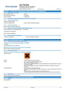 scheda di sicurezza