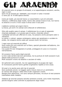 Senza titolo-1