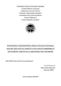 Visualizza/apri - Insubria Space