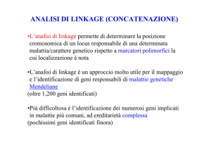 analisi di linkage (concatenazione)
