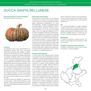 zucca santa bellunese