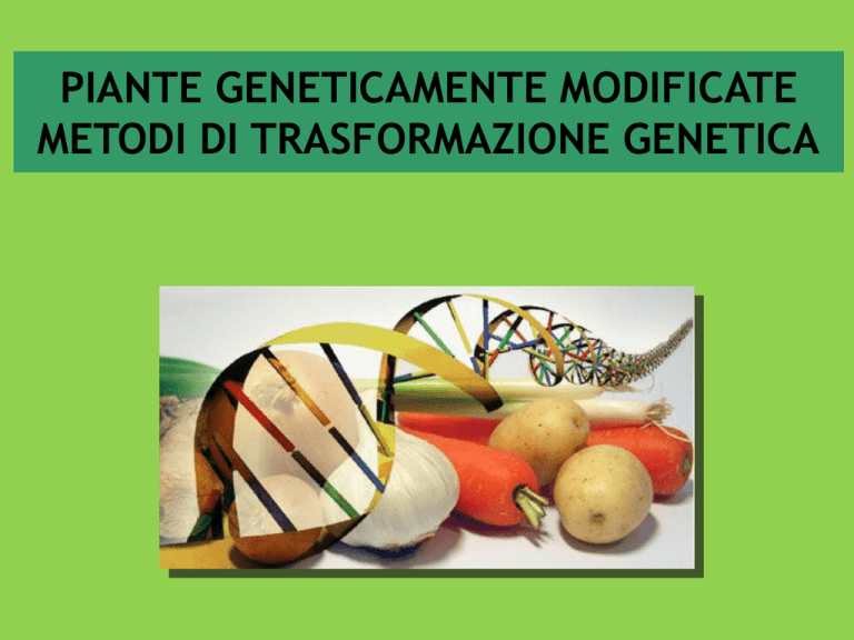 piante modificate metodi di piante modificate metodi di