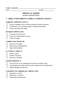 verifica sulla respirazione