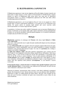 Biologia e Mantenimento delle colture