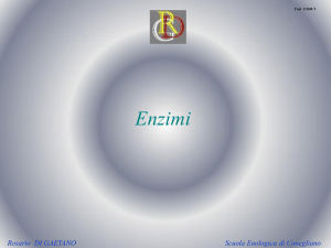 Enzimi