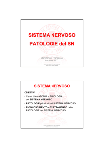 sistema nervoso