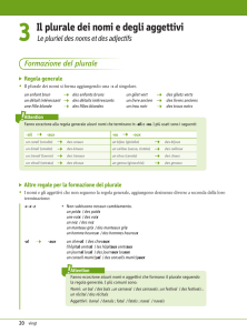 3 Il plurale dei nomi e degli aggettivi