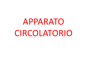 apparato circolatorio - Matematica e Scienze