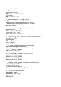 TEST di autovalutazione 2 - Digilander
