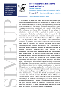 Scarica il PDF