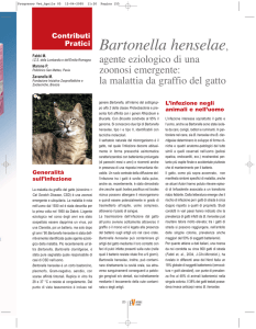 Bartonella henselae - Associazione Consigli Ordini Provinciali