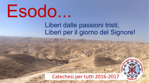 esodo 78-1029