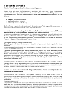 Il Secondo Cervello - Tui
