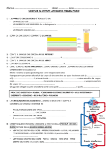 Verifica di Scienze: Apparato Circolatorio