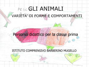 Presentazione