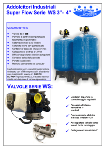 Addolcitori Industriali Super Flow Serie WS 3”- 4”