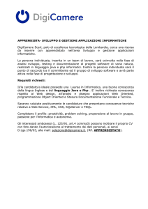 Apprendista -Sviluppo e Gestione Applicazioni