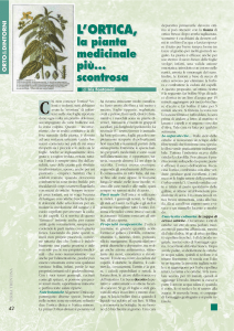 L`ORTICA, L`ORTICA,