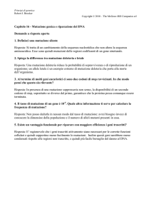 Risposte alle domande aperte