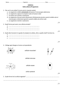 dalla cellula all`organismo