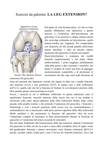 Esercizi da palestra: LA LEG EXTENSION?