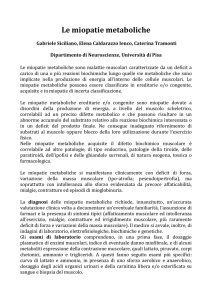 Gabriele Siciliano - Fondazione Paladini