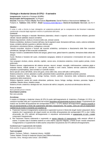 Citologia e Anatomia Umana (6 CFU) – II semestre