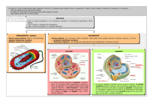 cellula - Libro di Scuola