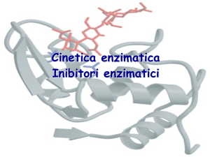 Enzimi II - Dipartimento di Biotecnologie, chimica e farmacia