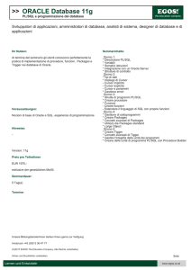 ORACLE Database 11g