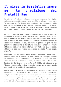 Il mirto in bottiglia: amore per la tradizione dei Fratelli Rau