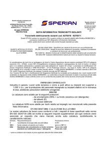 SPERIAN NOTA INFO tronchetti diel