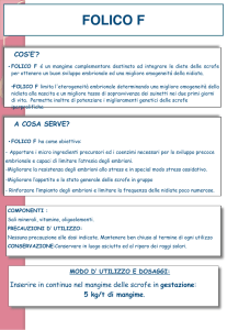 prodotti e tecnologi