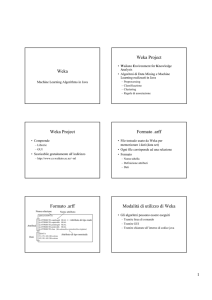 Weka Weka Project Weka Project Formato .arff Formato .arff