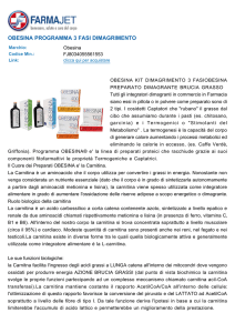 obesina programma 3 fasi dimagrimento