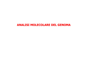 ANALISI MOLECOLARE DEL GENOMA