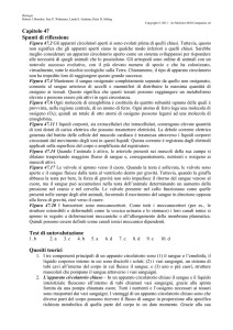 Apparato circolatorio