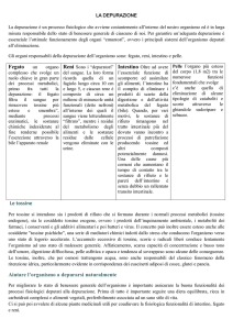 la depurazioone - Benvenuto in Omega Life