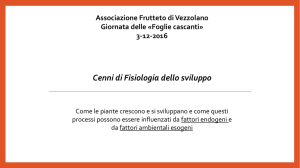 Cenni di Fisiologia dello sviluppo