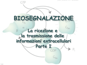 Biosegnalazione I - Dipartimento di Biotecnologie, chimica e farmacia