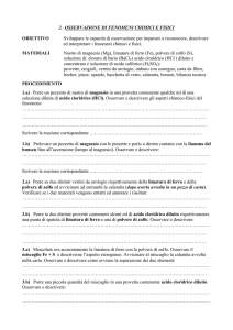 Osservazione di fenomeni chimici e fisici