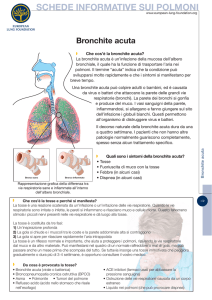 SCHEDE INFORMATIVE SUI POLMONI