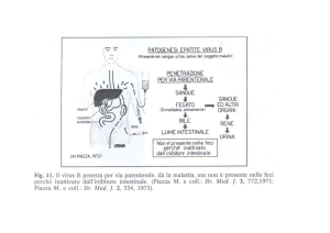 Diagnostica delle Epatiti Virali II