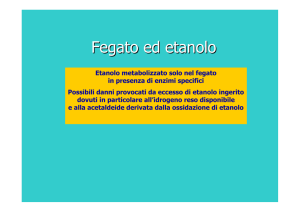 Fegato ed etanolo
