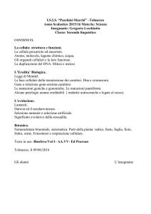 SCIENZE 2L - LESCHIUTTA