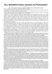 Gli spermatozoi vanno in Paradiso?